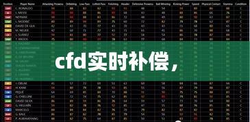 cfd實時補償， 