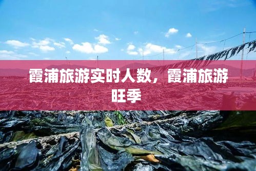 霞浦旅游實(shí)時(shí)人數(shù)，霞浦旅游旺季 