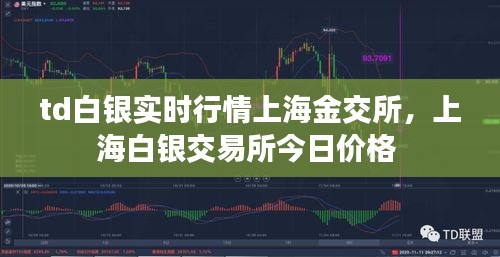 td白銀實(shí)時行情上海金交所，上海白銀交易所今日價格 
