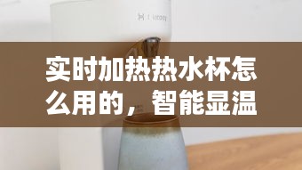 實(shí)時(shí)加熱熱水杯怎么用的，智能顯溫水杯 
