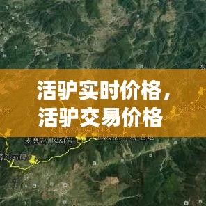 活驢實(shí)時(shí)價(jià)格，活驢交易價(jià)格 