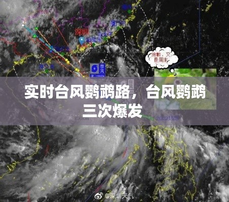實(shí)時(shí)臺(tái)風(fēng)鸚鵡路，臺(tái)風(fēng)鸚鵡三次爆發(fā) 