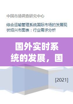 國外實(shí)時(shí)系統(tǒng)的發(fā)展，國外信息系統(tǒng)現(xiàn)狀 