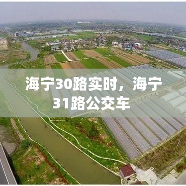 海寧30路實(shí)時(shí)，海寧31路公交車 