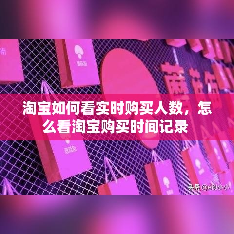 瑞雪紛飛 第3頁