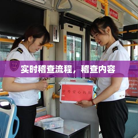 實(shí)時(shí)稽查流程，稽查內(nèi)容 
