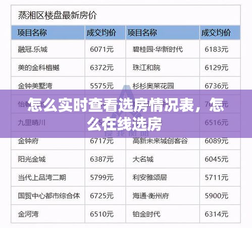 怎么實(shí)時(shí)查看選房情況表，怎么在線選房 