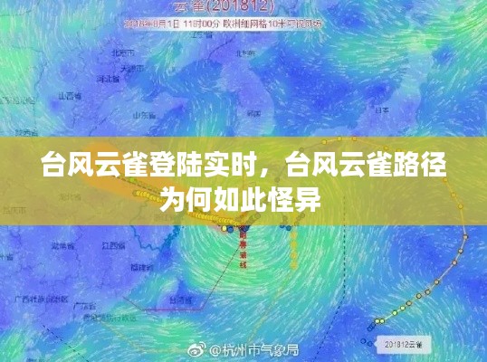 臺風云雀登陸實時，臺風云雀路徑為何如此怪異 