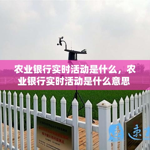 農業(yè)銀行實時活動是什么，農業(yè)銀行實時活動是什么意思 