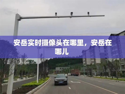 安岳實時攝像頭在哪里，安岳在哪兒 