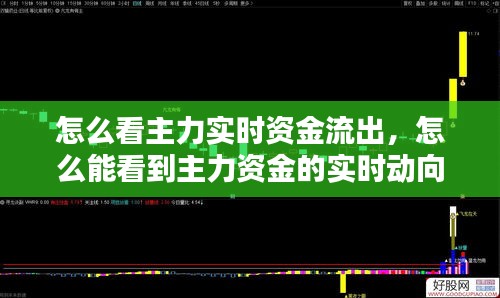 怎么看主力實(shí)時(shí)資金流出，怎么能看到主力資金的實(shí)時(shí)動(dòng)向 