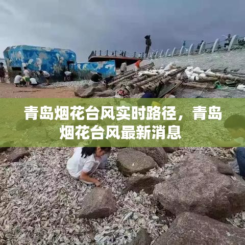 青島煙花臺(tái)風(fēng)實(shí)時(shí)路徑，青島煙花臺(tái)風(fēng)最新消息 