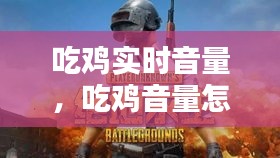 吃雞實(shí)時(shí)音量，吃雞音量怎么調(diào)整最好 