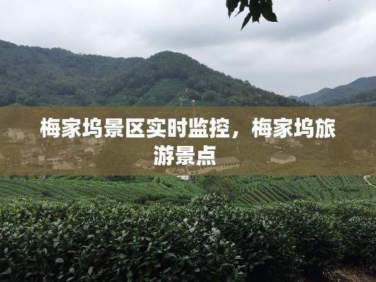 梅家塢景區(qū)實(shí)時(shí)監(jiān)控，梅家塢旅游景點(diǎn) 