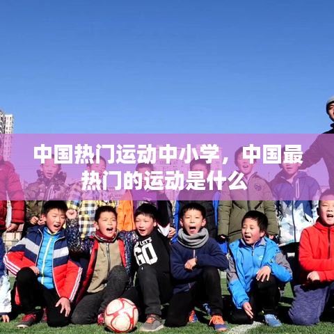 中國(guó)熱門運(yùn)動(dòng)中小學(xué)，中國(guó)最熱門的運(yùn)動(dòng)是什么 