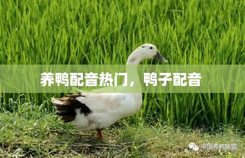 林下風(fēng)氣 第3頁(yè)