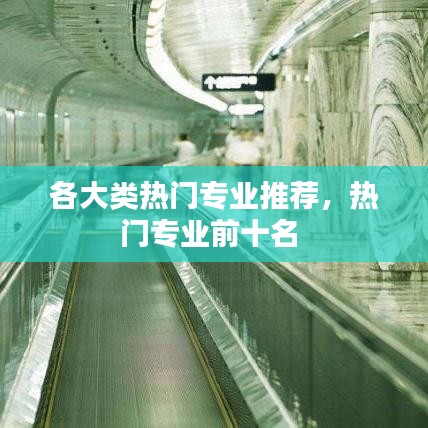 各大類熱門(mén)專業(yè)推薦，熱門(mén)專業(yè)前十名 