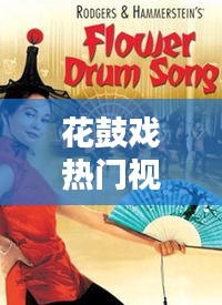 花鼓戲熱門(mén)視頻下載，花鼓戲視頻全集播放 