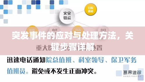 突發(fā)事件的應對與處理方法，關鍵步驟詳解