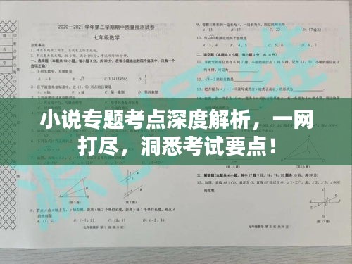 小說專題考點(diǎn)深度解析，一網(wǎng)打盡，洞悉考試要點(diǎn)！