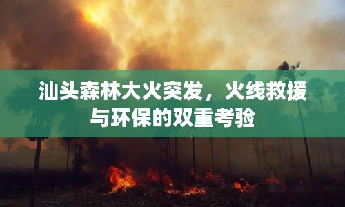 汕頭森林大火突發(fā)，火線救援與環(huán)保的雙重考驗(yàn)