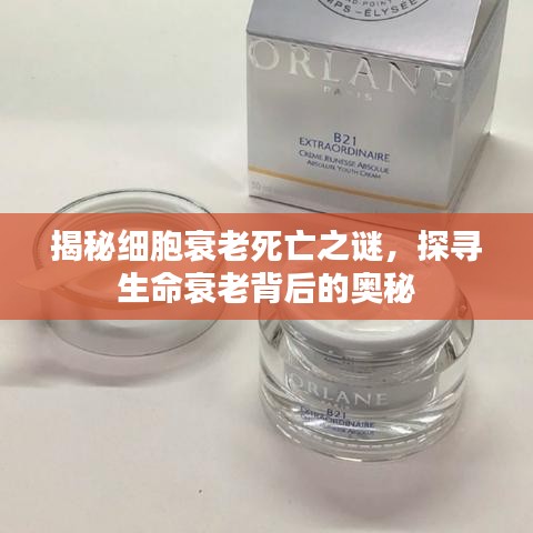 揭秘細(xì)胞衰老死亡之謎，探尋生命衰老背后的奧秘
