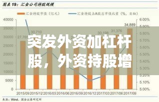 突發(fā)外資加杠桿股，外資持股增加好么 