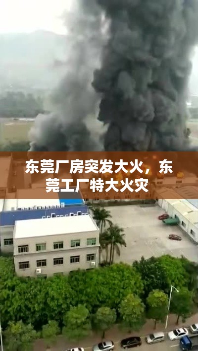東莞廠房突發(fā)大火，東莞工廠特大火災(zāi) 