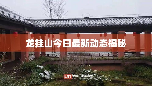 龍掛山今日最新動(dòng)態(tài)揭秘