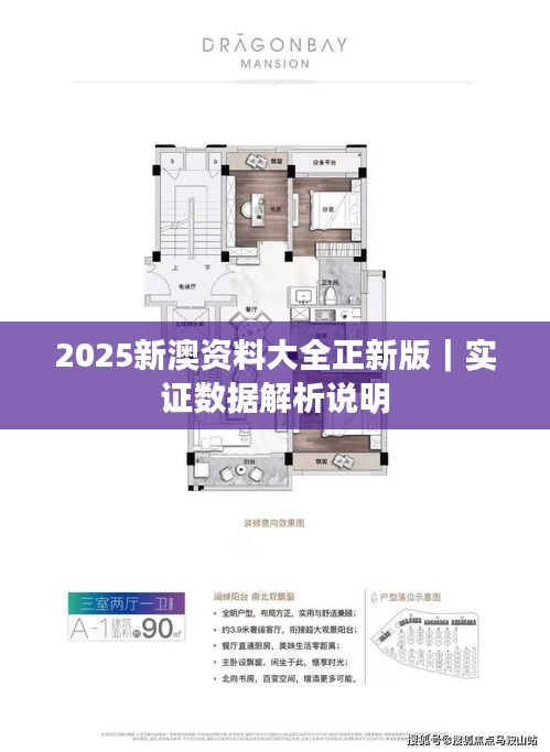 2025新澳資料大全正新版｜實證數(shù)據(jù)解析說明