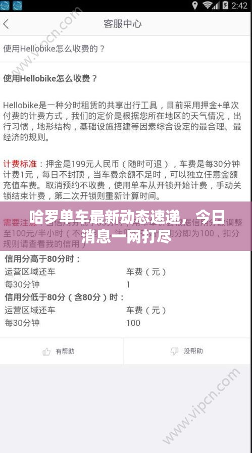 哈羅單車最新動(dòng)態(tài)速遞，今日消息一網(wǎng)打盡