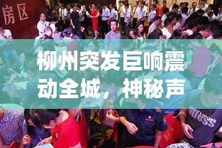 草創(chuàng)未就 第3頁