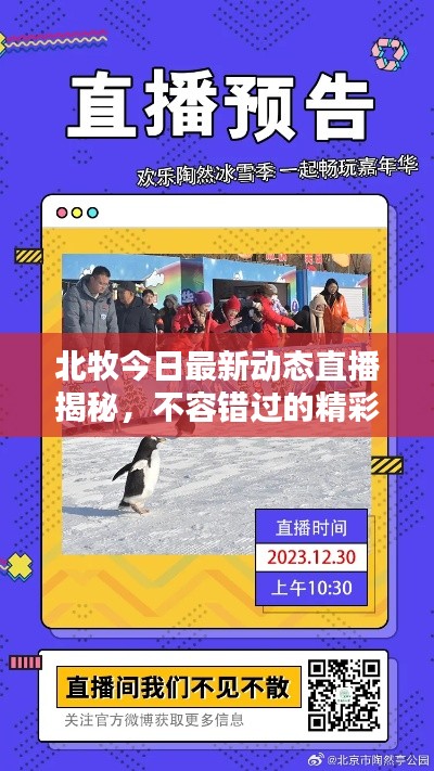 北牧今日最新動態(tài)直播揭秘，不容錯過的精彩內(nèi)容！