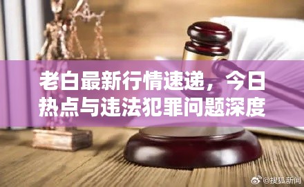 老白最新行情速遞，今日熱點與違法犯罪問題深度解析