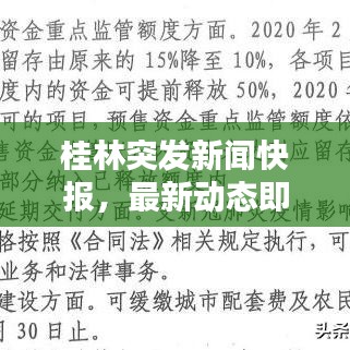 桂林突發(fā)新聞快報，最新動態(tài)即刻更新