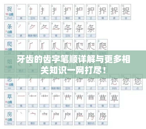 牙齒的齒字筆順詳解與更多相關(guān)知識(shí)一網(wǎng)打盡！