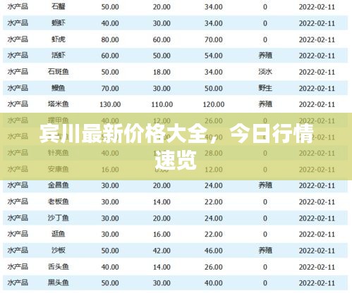 賓川最新價格大全，今日行情速覽