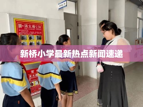 新橋小學(xué)最新熱點新聞速遞