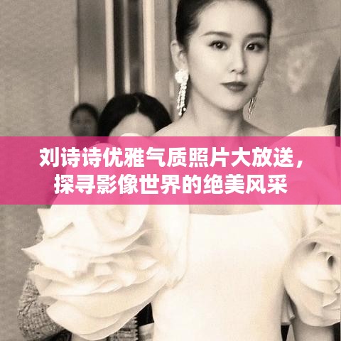 劉詩詩優(yōu)雅氣質(zhì)照片大放送，探尋影像世界的絕美風采