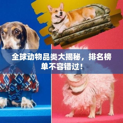 全球動物品類大揭秘，排名榜單不容錯過！