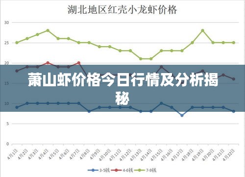 蕭山蝦價(jià)格今日行情及分析揭秘