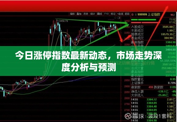 今日漲停指數(shù)最新動(dòng)態(tài)，市場(chǎng)走勢(shì)深度分析與預(yù)測(cè)