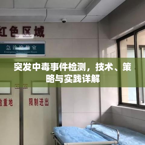 突發(fā)中毒事件檢測，技術(shù)、策略與實(shí)踐詳解