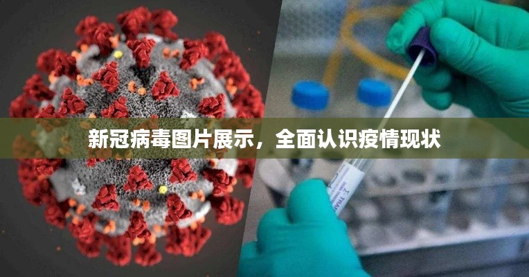 草草收兵 第2頁