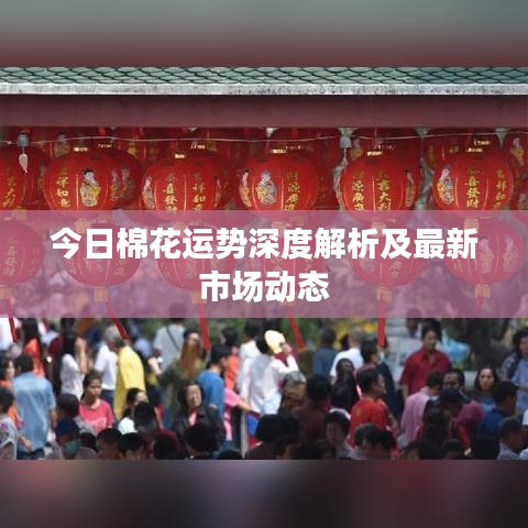 今日棉花運勢深度解析及最新市場動態(tài)