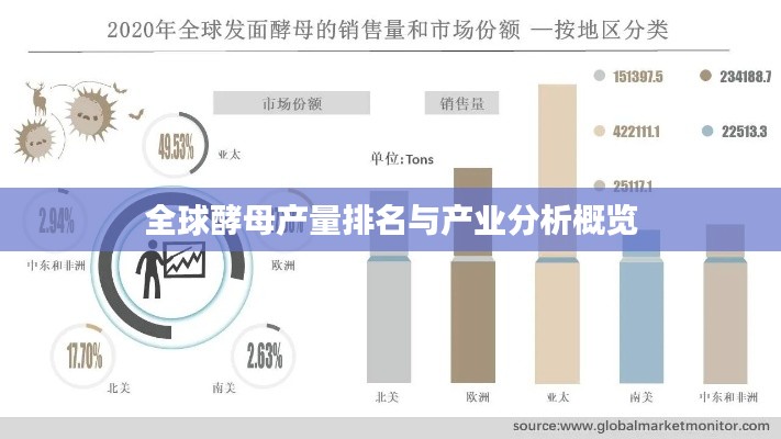 全球酵母產量排名與產業(yè)分析概覽