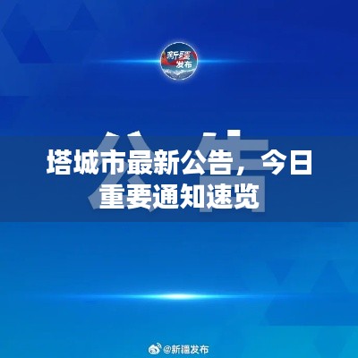 塔城市最新公告，今日重要通知速覽