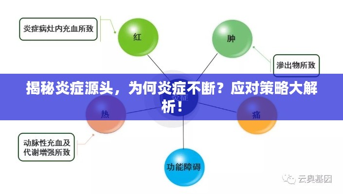 揭秘炎癥源頭，為何炎癥不斷？應(yīng)對策略大解析！