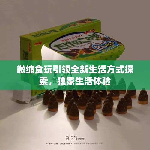 微縮食玩引領(lǐng)全新生活方式探索，獨(dú)家生活體驗