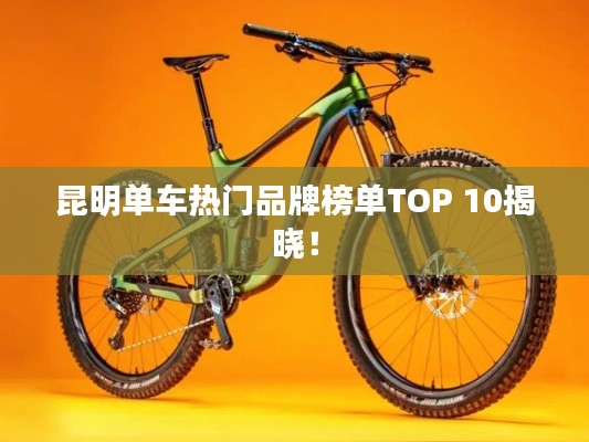 昆明單車(chē)熱門(mén)品牌榜單TOP 10揭曉！